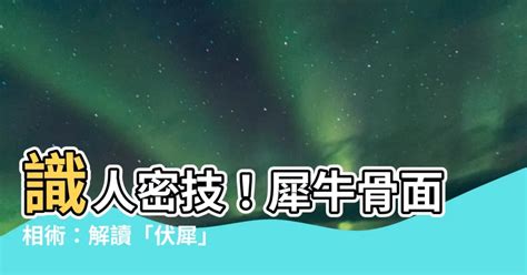 犀牛骨面相|【犀牛骨面相】識人密技！犀牛骨面相術：解讀「伏犀。